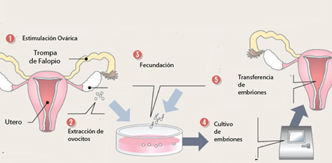 centro de andrologia