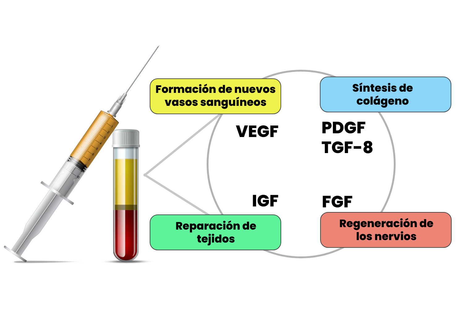 PRP - Plasma Rico en Plaquetas paso 2